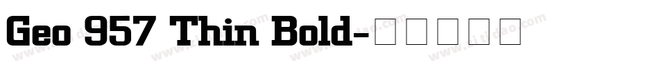 Geo 957 Thin Bold字体转换